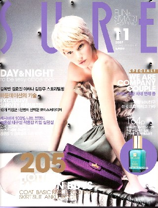 Sure Cover Big.jpg